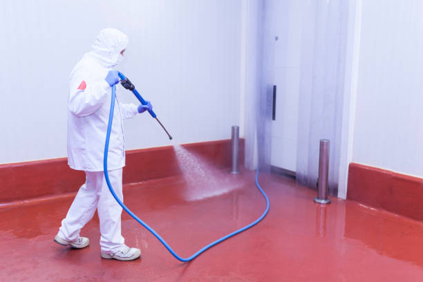Winterizing Services in Pell City, AL